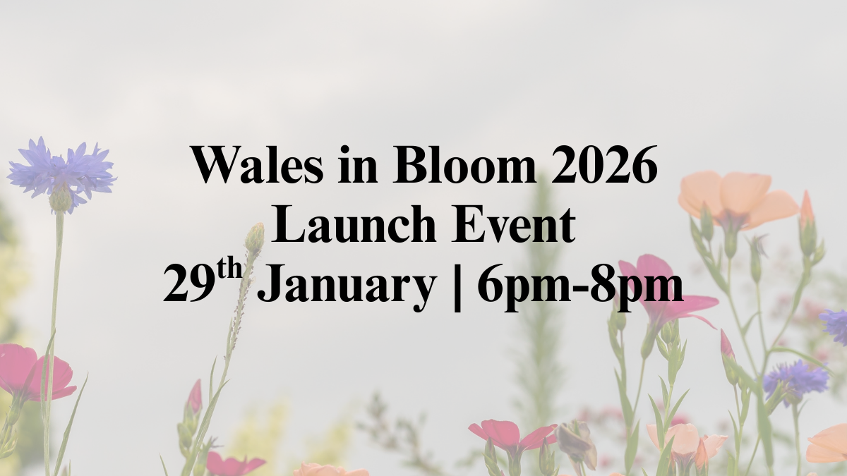 Wales in Bloom 2026 Launch