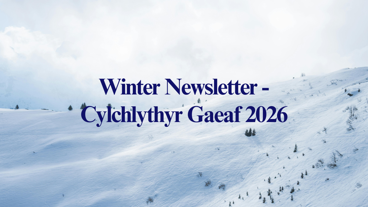 Winter 2026 Newsletter