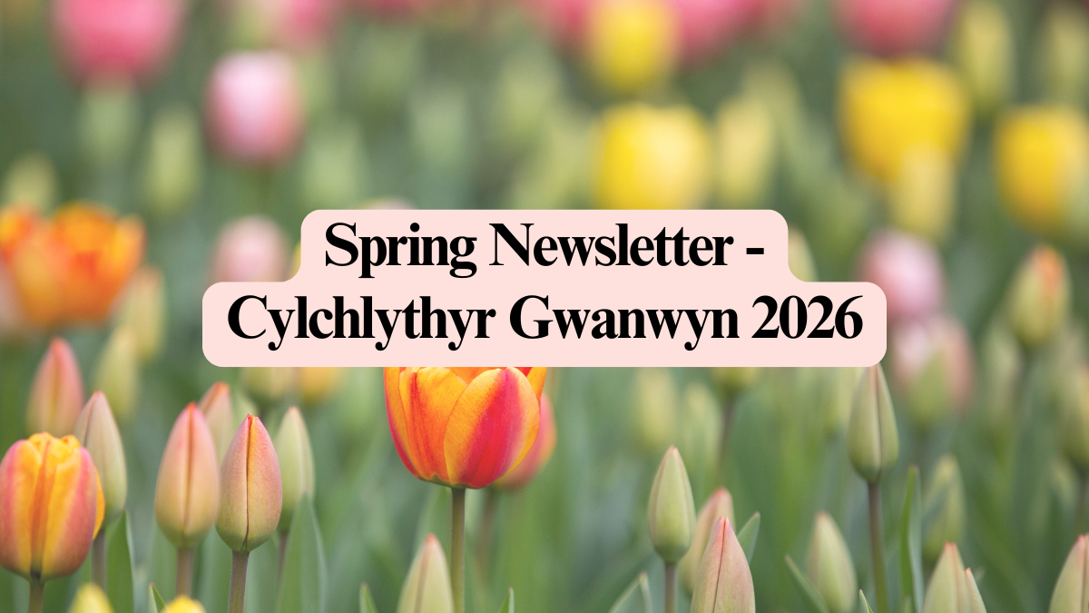 Spring 2026 Newsletter