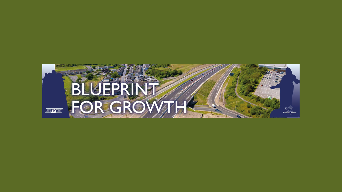 Blueprint for Growth Consultation