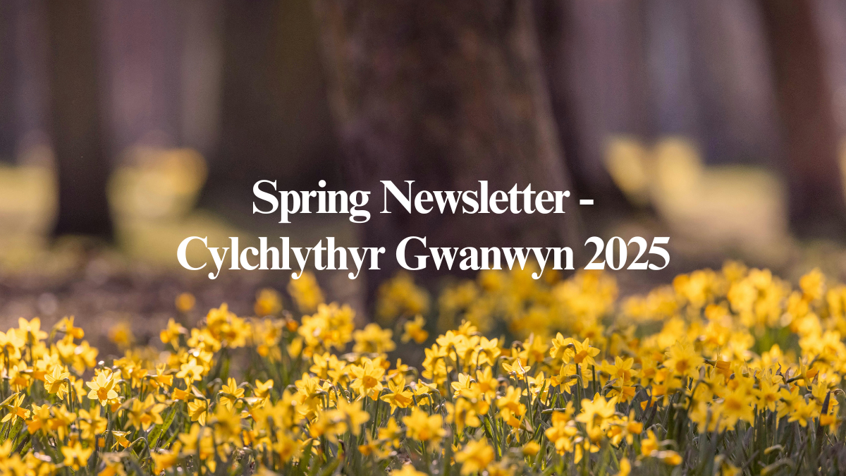 Spring 2025 Newsletter