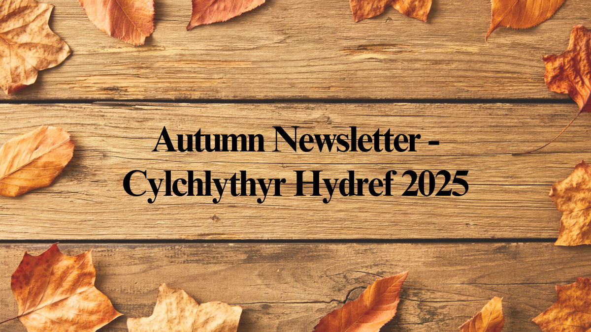 Autumn 2025 Newsletter