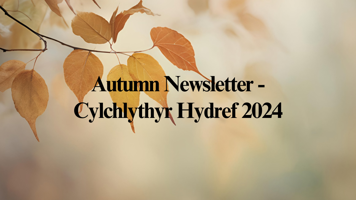 Autumn 2024 Newsletter